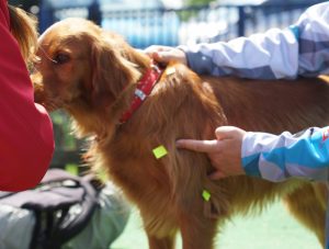 bergfexn_balduin_hoerschall_physio