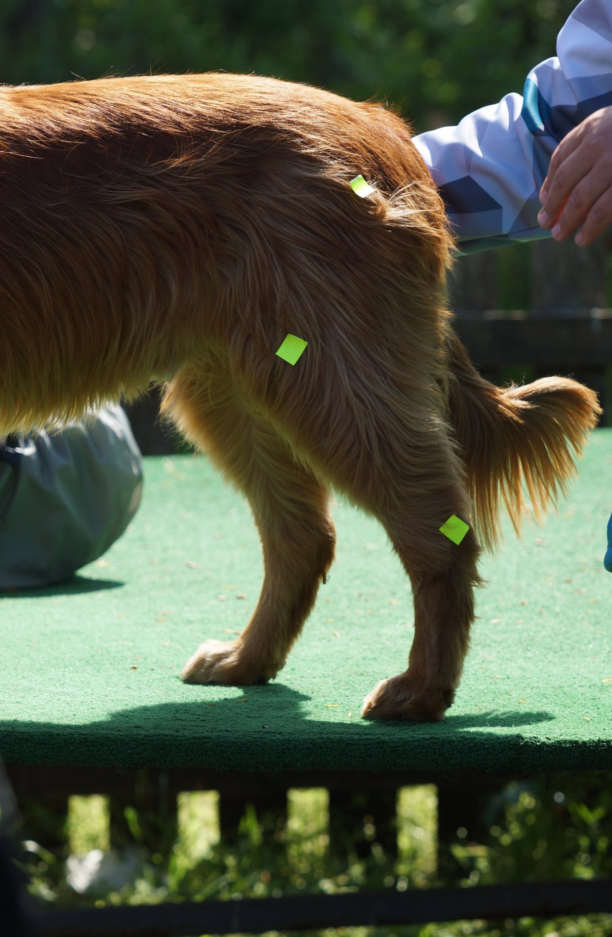 bergfexn_balduin_hoerschall_physio