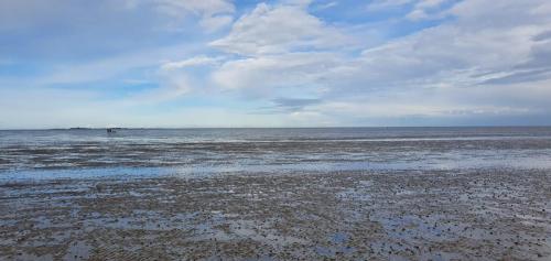 88681a10-bf91-4f4f-9117-48931f60ed9b