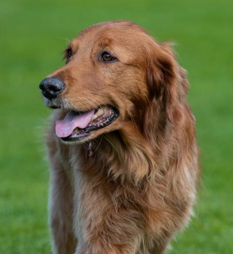 9. Steiermark-Cup OB Steyr-101