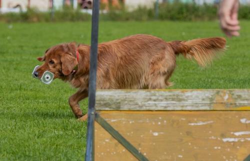 9. Steiermark-Cup OB Steyr-97