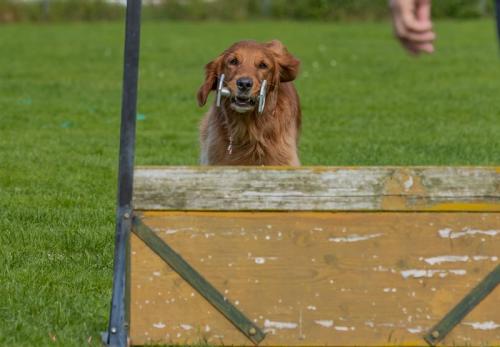 9. Steiermark-Cup OB Steyr-98