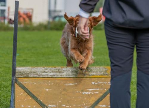 9. Steiermark-Cup OB Steyr-99