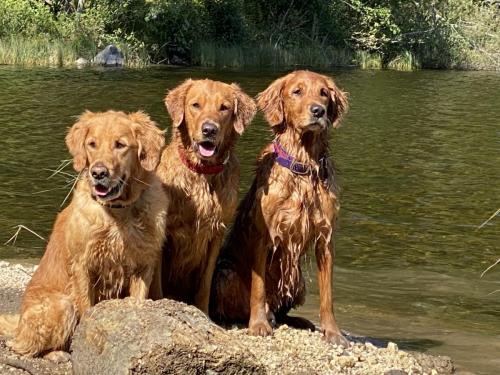 Bergfexn´s Claus, TQ Cayo der Bergfex, Bergfexn´s Balduin