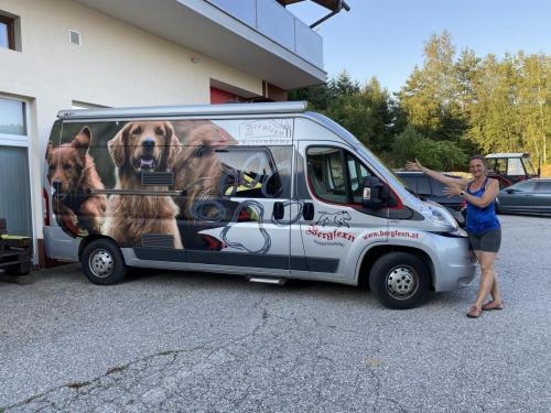 Dogogmobil2020 rechts