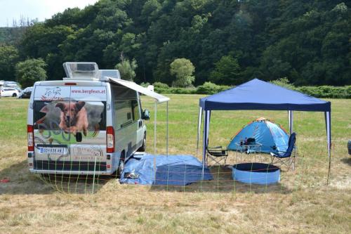 European Obedience Open 2020