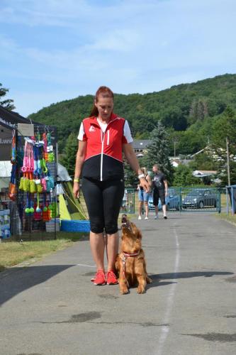 TQ Cayo der Bergfex bei der European Obedience Open 2020