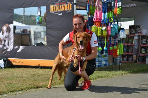 TQ Cayo der Bergfex bei der European Obedience Open 2020