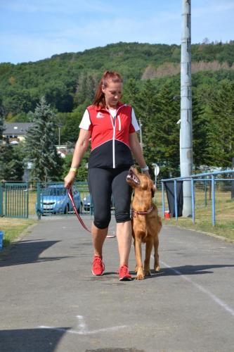 TQ Cayo der Bergfex bei der European Obedience Open 2020
