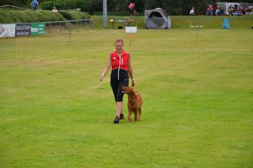 Bergfexn´s Balduin European Obedience Open 2020