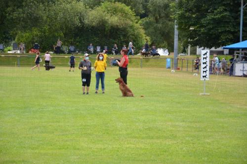 Bergfexn´s Balduin European Obedience Open 2020