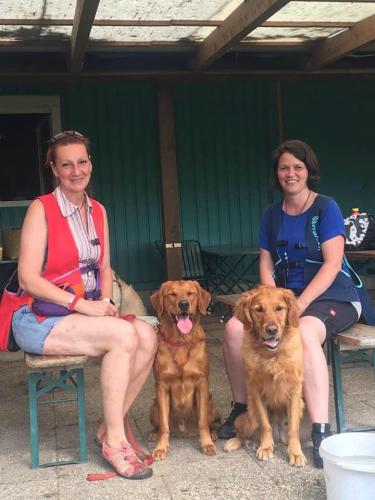 Bergfexn-RBP-Ebreichsdorf-Retriever2