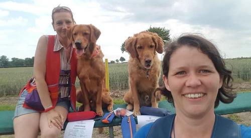 Bergfexn-RBP-Ebreichsdorf-Retriever4